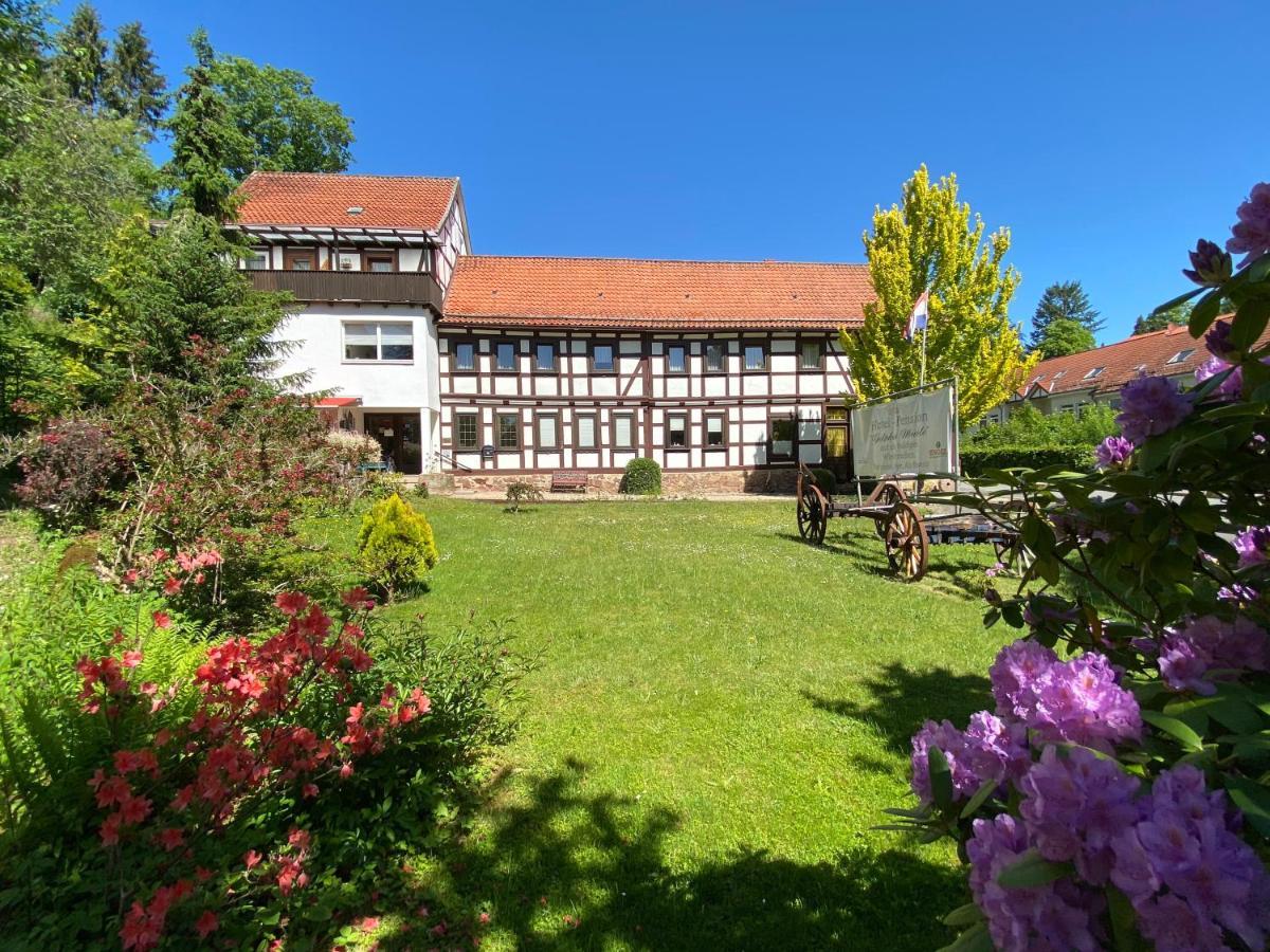 Hotel Pension Gelpkes Muehle Bad Sachsa Eksteriør bilde